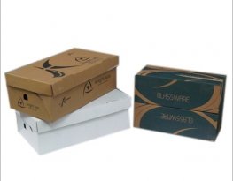 Bao bì carton ngành giày da - Bao Bì Carton BICATA 6 - Công Ty TNHH BICATA 6